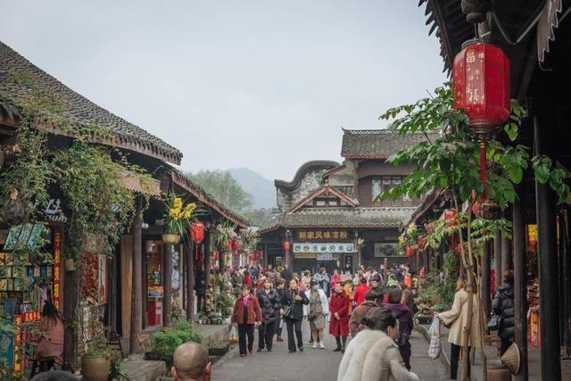14名老人均系安全带逃过一劫