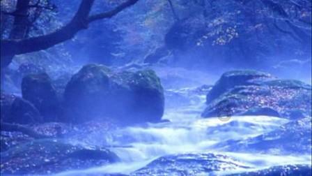 重庆亿万富豪郭家富,曾花6000万为员工买房,破产后却“众筹治病“